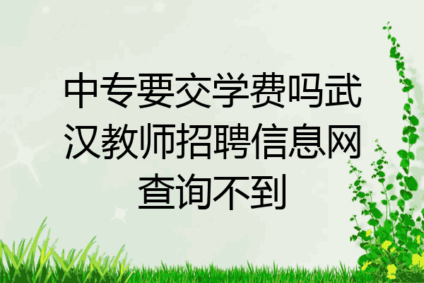 中专要交学费吗武汉教师招聘信息网查询不到