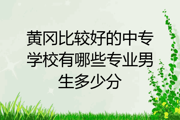 黄冈比较好的中专学校有哪些专业男生多少分