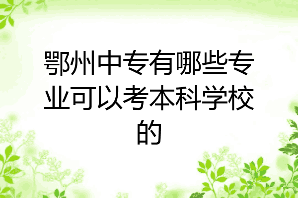 鄂州中专有哪些专业可以考本科学校的