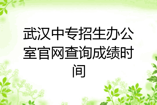 武汉中专招生办公室官网查询成绩时间