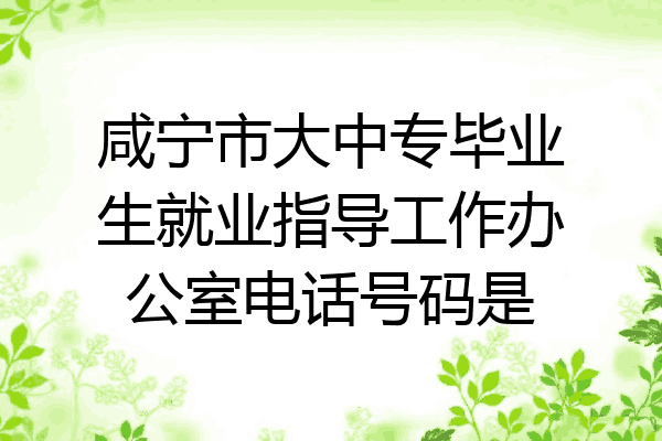 咸宁市大中专毕业生就业指导工作办公室电话号码是