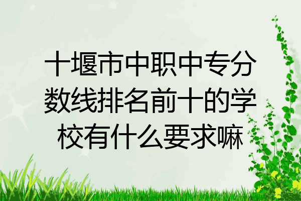 十堰市中职中专分数线排名前十的学校有什么要求嘛
