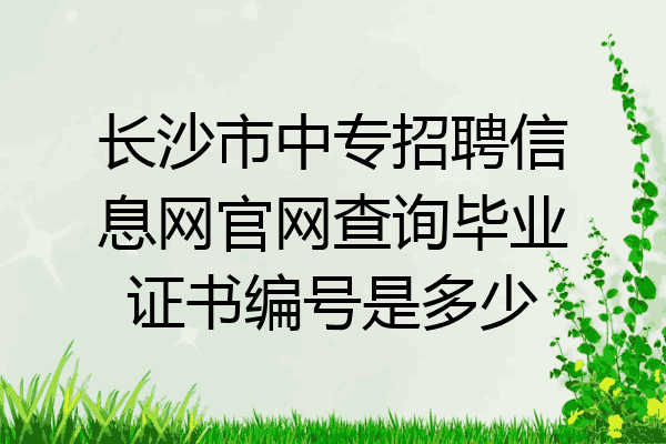 长沙市中专招聘信息网官网查询毕业证书编号是多少