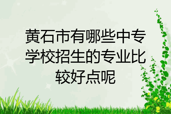 黄石市有哪些中专学校招生的专业比较好点呢