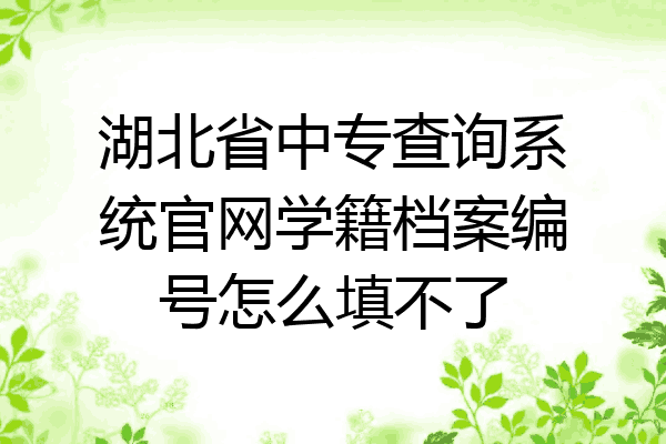 湖北省中专查询系统官网学籍档案编号怎么填不了