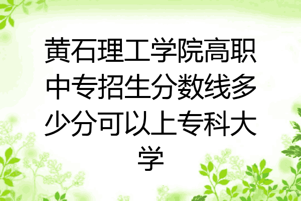 黄石理工学院高职中专招生分数线多少分可以上专科大学