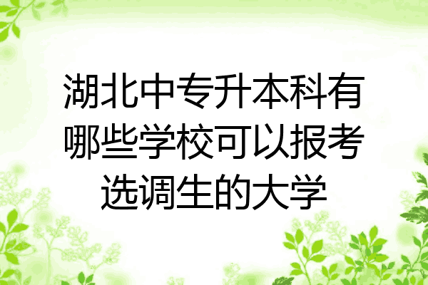 湖北中专升本科有哪些学校可以报考选调生的大学