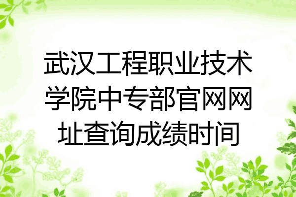 武汉工程职业技术学院中专部官网网址查询成绩时间