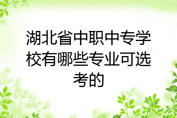湖北省中职中专学校有哪些专业可选考的