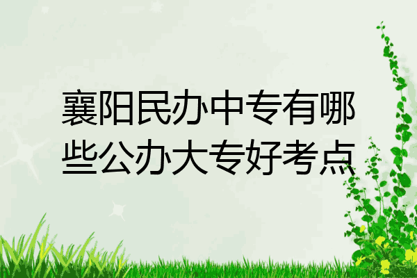 襄阳民办中专有哪些公办大专好考点