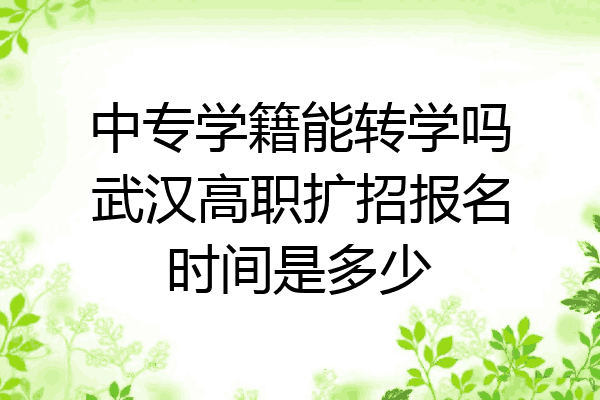 中专学籍能转学吗武汉高职扩招报名时间是多少