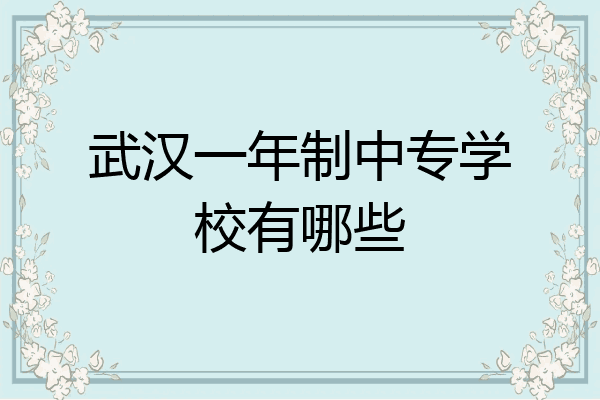 武汉一年制中专学校有哪些