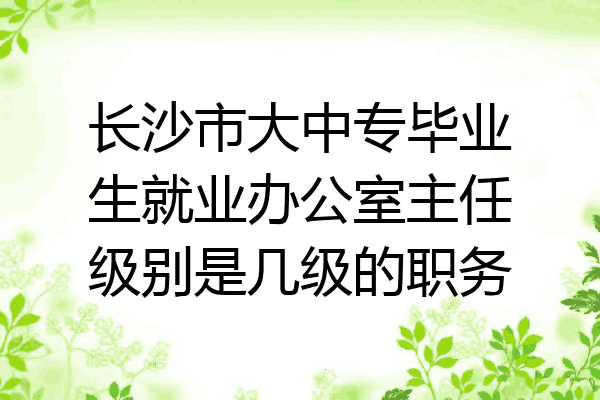 长沙市大中专毕业生就业办公室主任级别是几级的职务