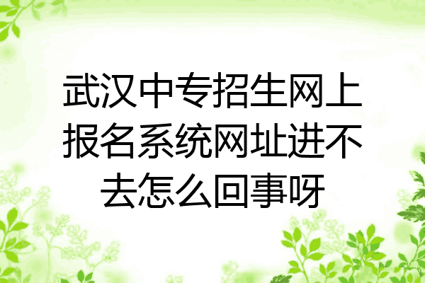 武汉中专招生网上报名系统网址进不去怎么回事呀