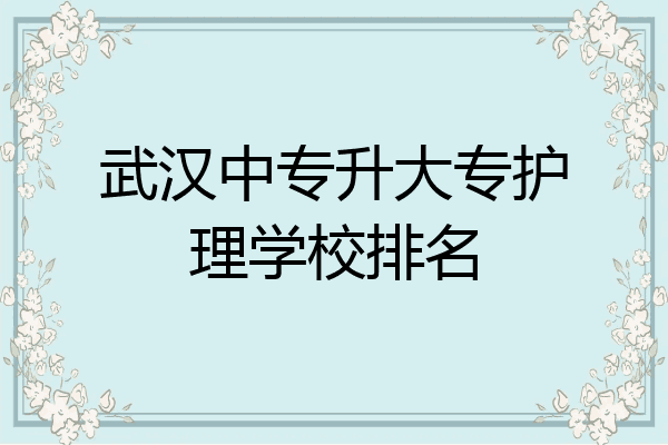 武汉中专升大专护理学校排名