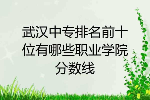 武汉中专排名前十位有哪些职业学院分数线