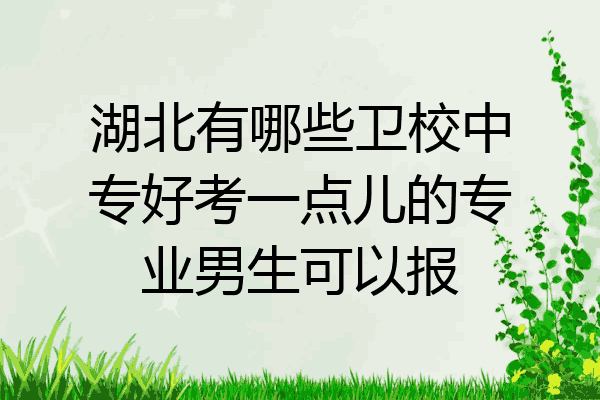 湖北有哪些卫校中专好考一点儿的专业男生可以报