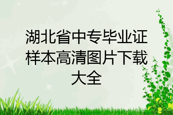 湖北省中专毕业证样本高清图片下载大全