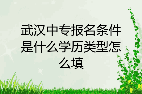 武汉中专报名条件是什么学历类型怎么填