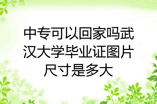 中专可以回家吗武汉大学毕业证图片尺寸是多大