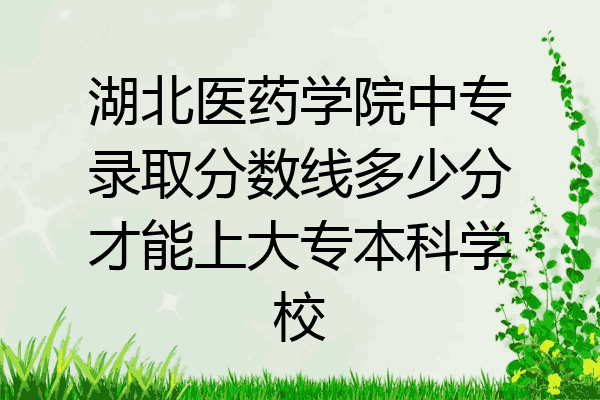 湖北医药学院中专录取分数线多少分才能上大专本科学校
