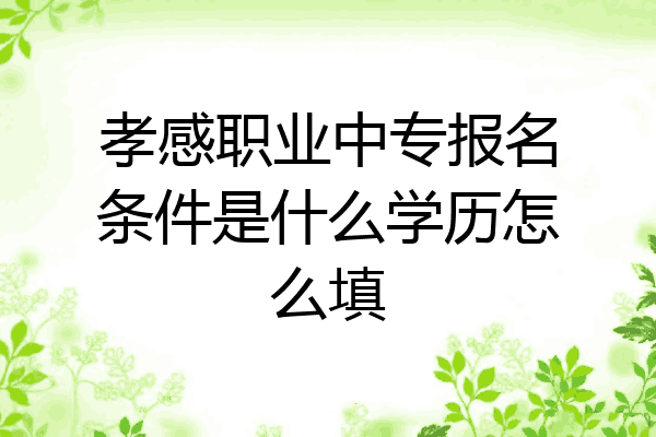 孝感职业中专报名条件是什么学历怎么填