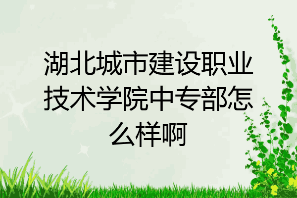 湖北城市建设职业技术学院中专部怎么样啊