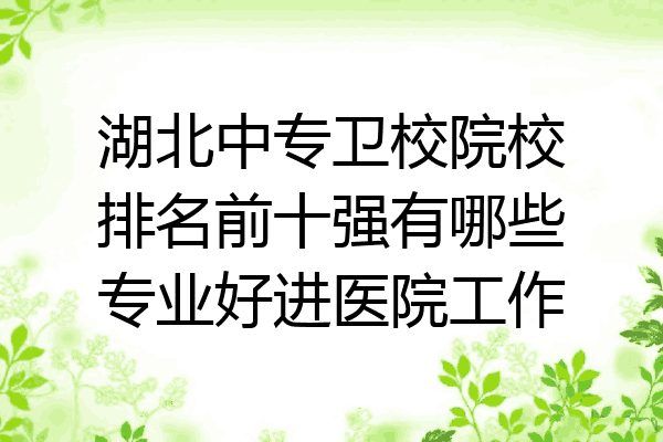 湖北中专卫校院校排名前十强有哪些专业好进医院工作