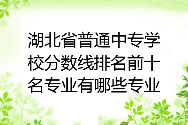 湖北省普通中专学校分数线排名前十名专业有哪些专业