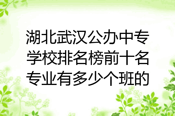 湖北武汉公办中专学校排名榜前十名专业有多少个班的