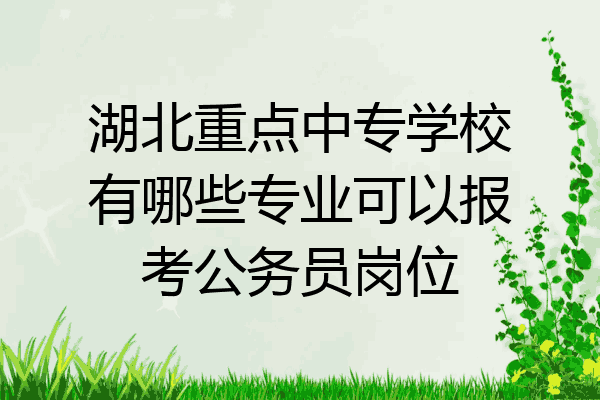 湖北重点中专学校有哪些专业可以报考公务员岗位