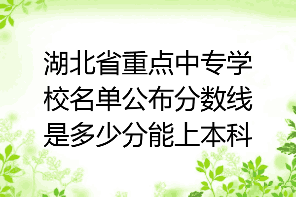 湖北省重点中专学校名单公布分数线是多少分能上本科