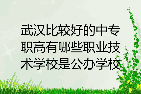 武汉比较好的中专职高有哪些职业技术学校是公办学校