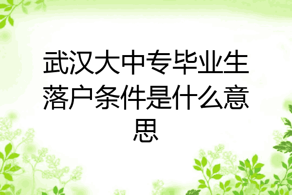 武汉大中专毕业生落户条件是什么意思