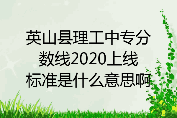 英山县理工中专分数线2020上线标准是什么意思啊
