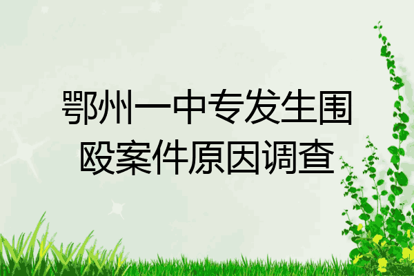 鄂州一中专发生围殴案件原因调查