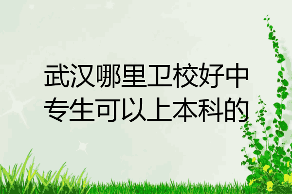 武汉哪里卫校好中专生可以上本科的