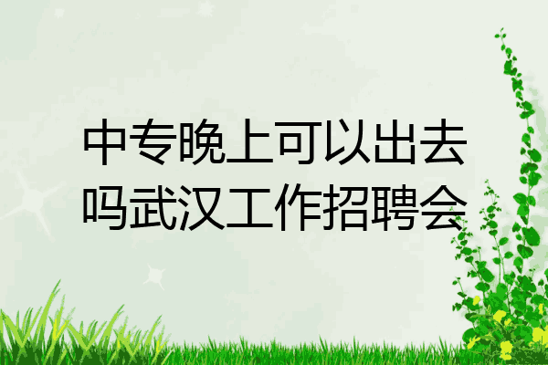中专晚上可以出去吗武汉工作招聘会