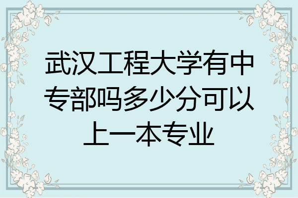武汉工程大学有中专部吗多少分可以上一本专业