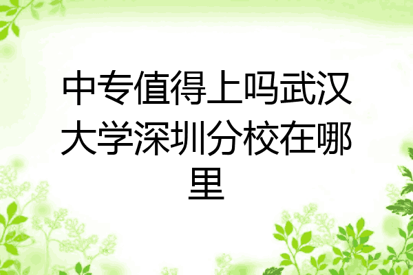 中专值得上吗武汉大学深圳分校在哪里