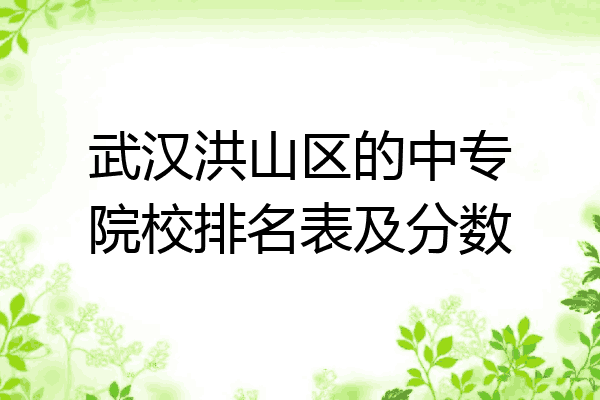 武汉洪山区的中专院校排名表及分数