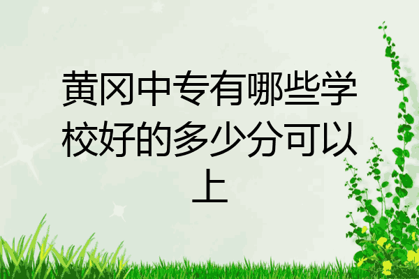 黄冈中专有哪些学校好的多少分可以上