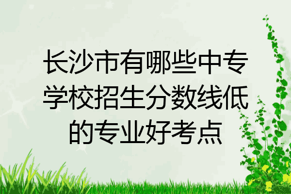 长沙市有哪些中专学校招生分数线低的专业好考点