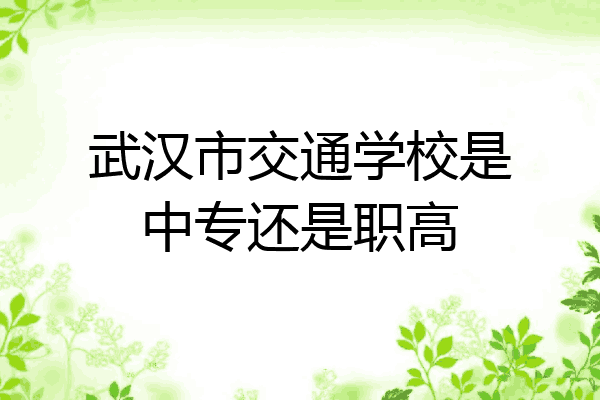 武汉市交通学校是中专还是职高