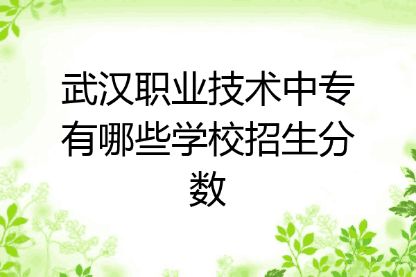 武汉职业技术中专有哪些学校招生分数