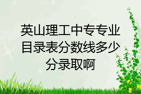 英山理工中专专业目录表分数线多少分录取啊