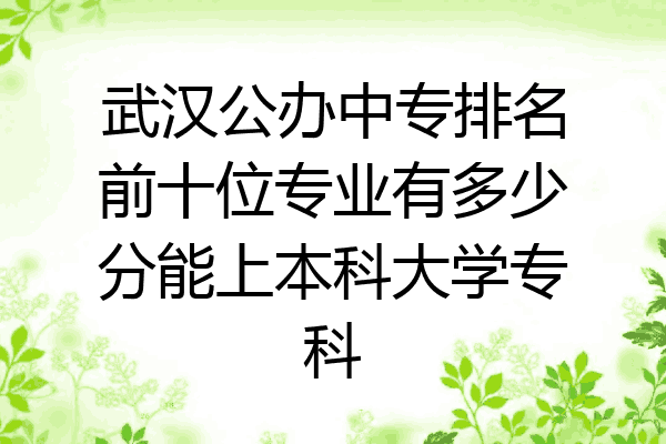 武汉公办中专排名前十位专业有多少分能上本科大学专科