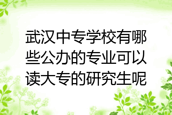 武汉中专学校有哪些公办的专业可以读大专的研究生呢
