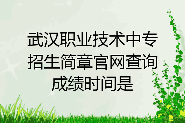 武汉职业技术中专招生简章官网查询成绩时间是