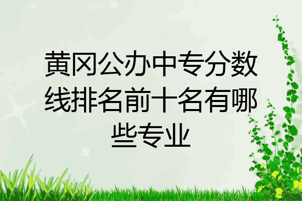 黄冈公办中专分数线排名前十名有哪些专业